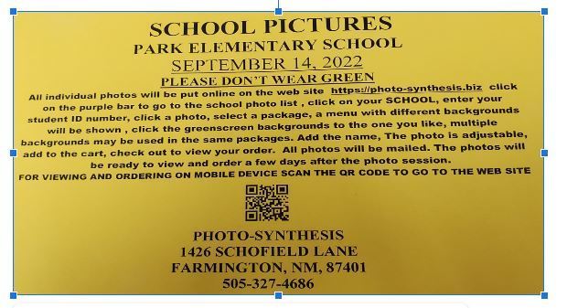Pic Day Flier